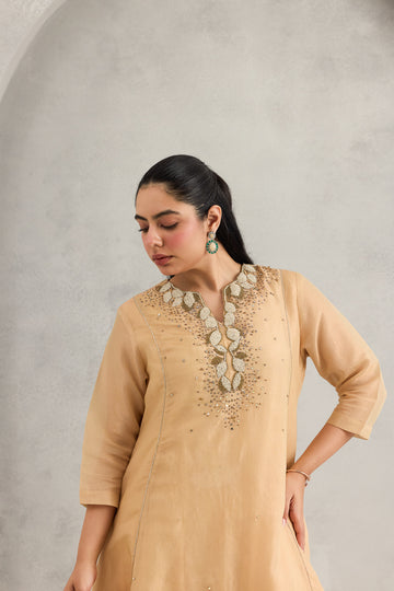 BEIGE VELVIQUE DRESS
