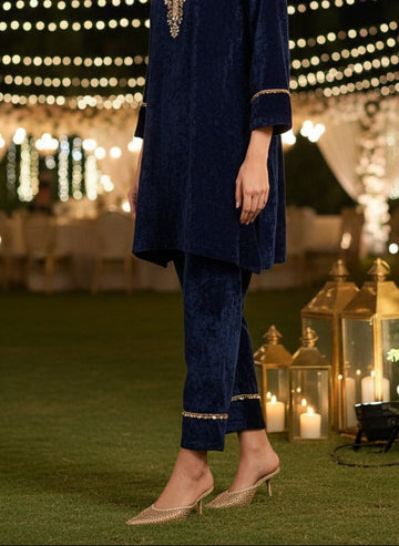 VELVET NAVY RADICAL PANTS